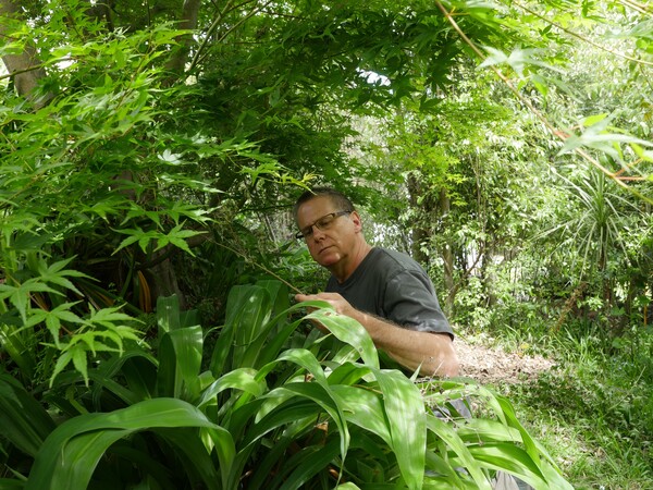 Dr Simon Pollard