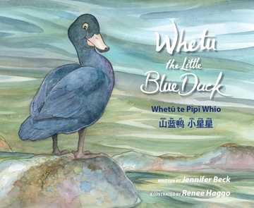 Whetū the little Blue Duck cover