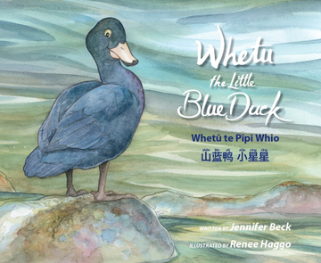 Whetū the little Blue Duck