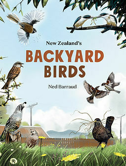 New Zealand's Backyard Birds
