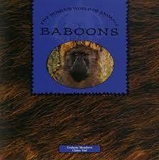 Baboons