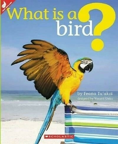 What is a Bird?