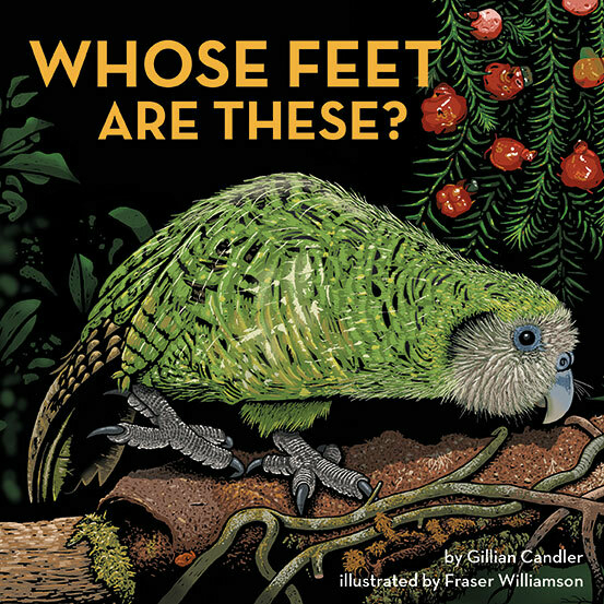 Whose Feet Are These?