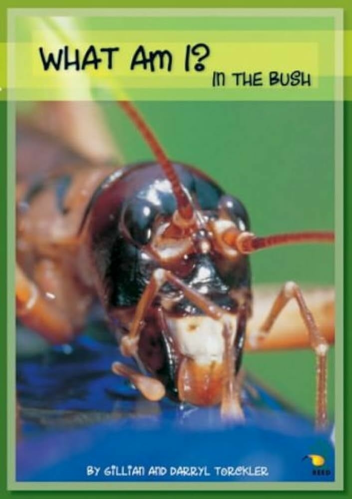 What Am I? In the Bush