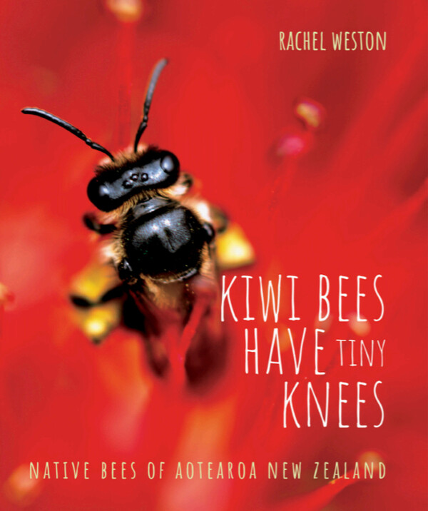 Kiwi Bees Have Tiny Knees: Native Bees of Aotearoa New Zealand cover