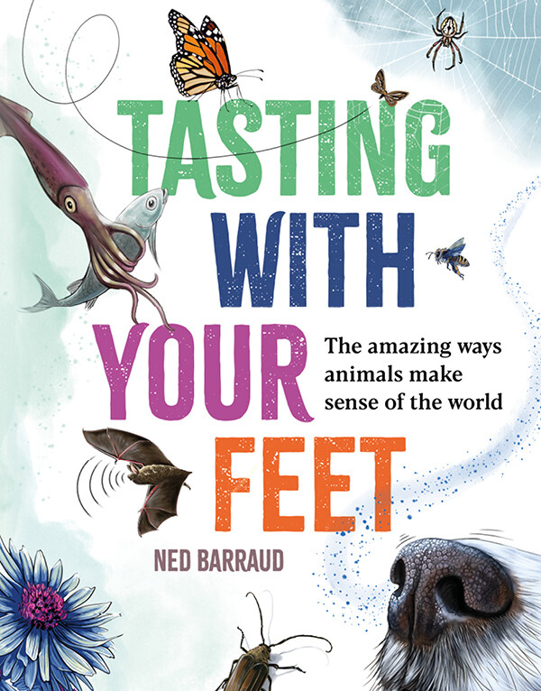 Tasting with your Feet cover