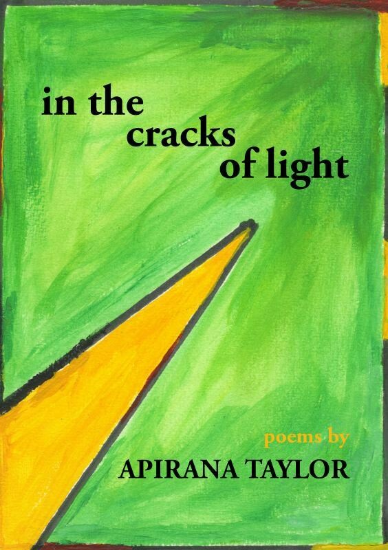 in the cracks of light cover