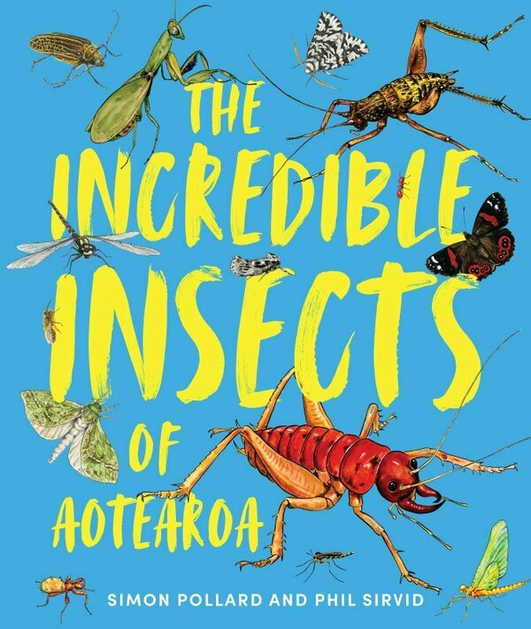 The Incredible Insects of Aotearoa cover