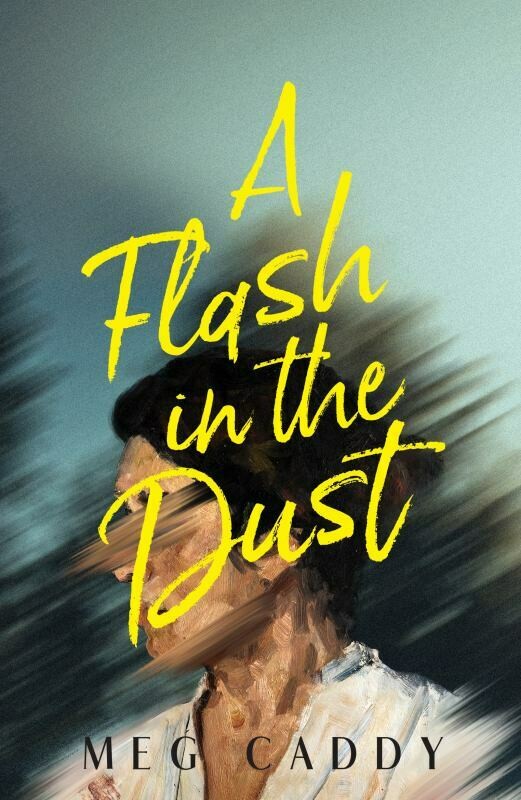 A Flash in the Dust cover